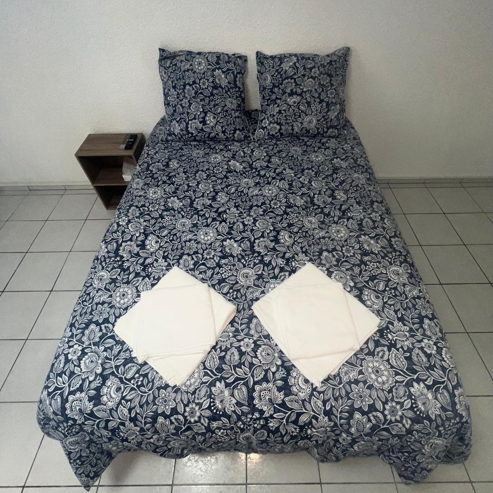 Studio Tapisvert St Charles Canebiere Vieux Port مارسيليا المظهر الخارجي الصورة